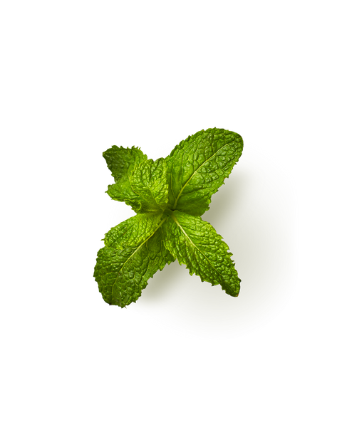 Mint