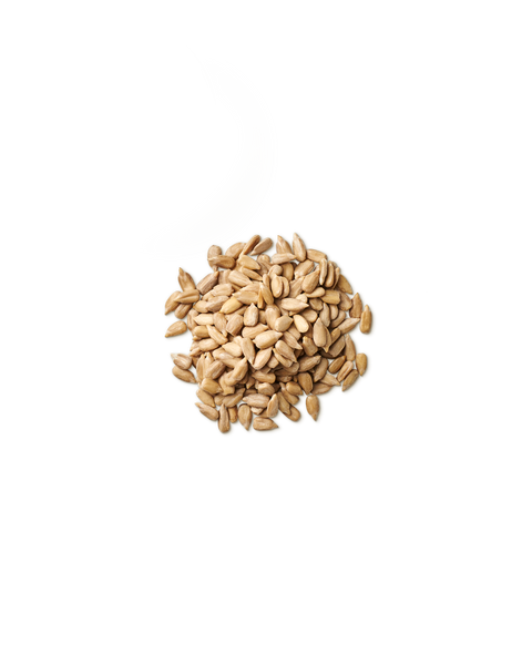 Sunflower Lecithin