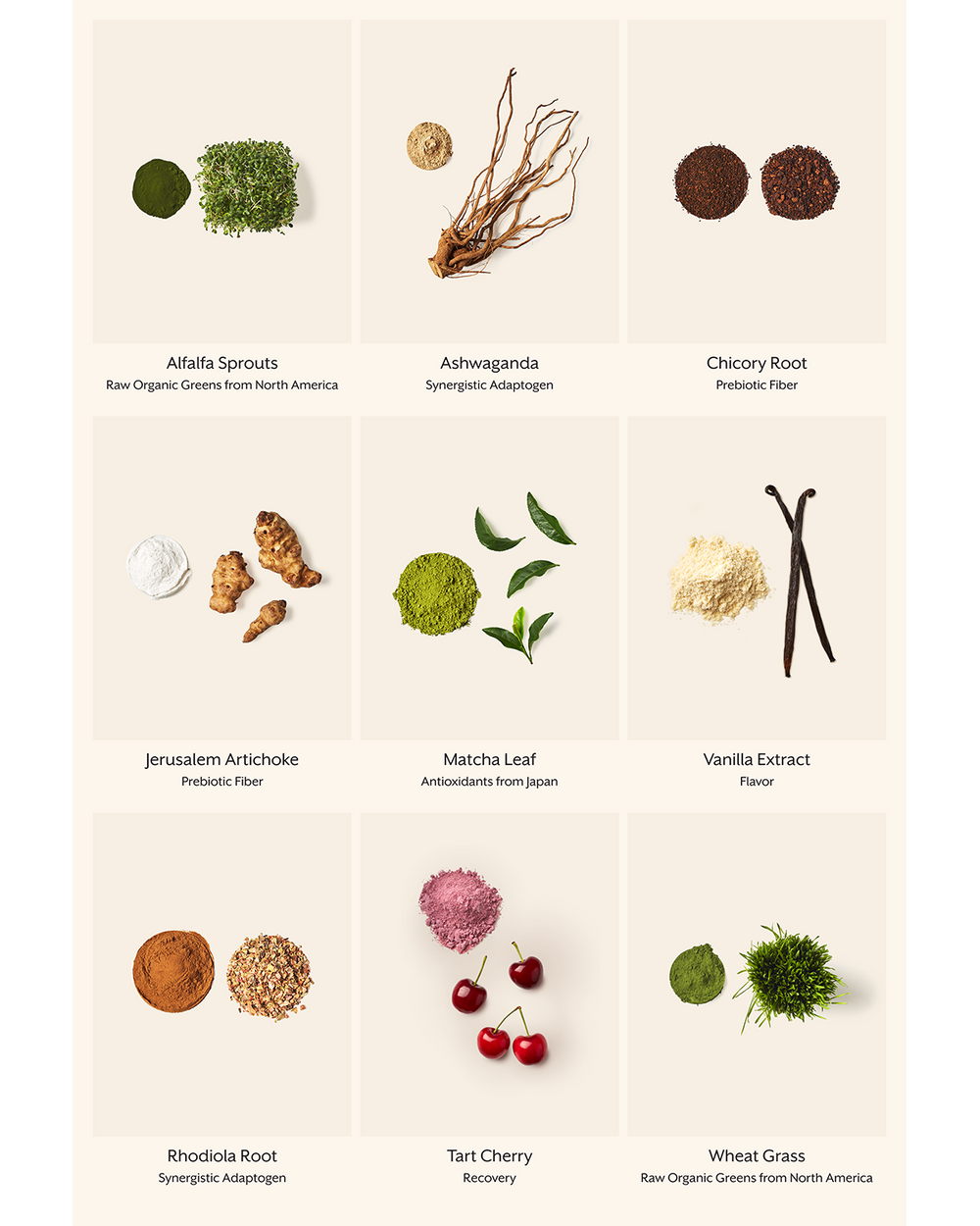 Promix x Kira Stokes Raw Greens Bundle