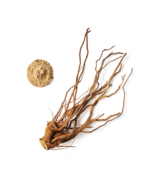 Ashwaganda Root