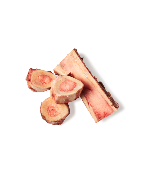 Bone Marrow