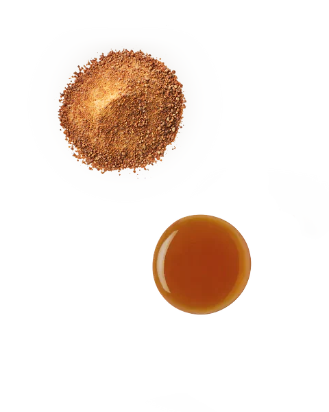 Maple Sugar