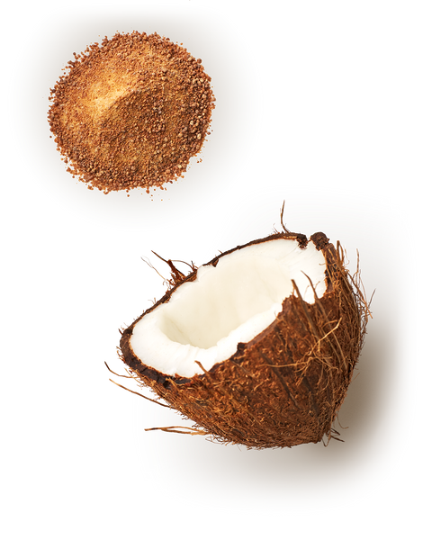 Coconut Sugar