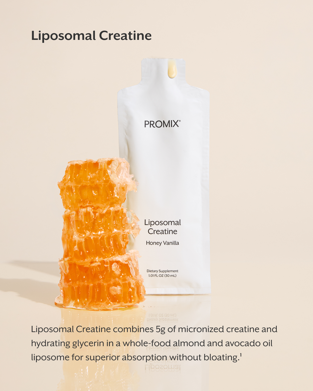 Liposomal Bundle