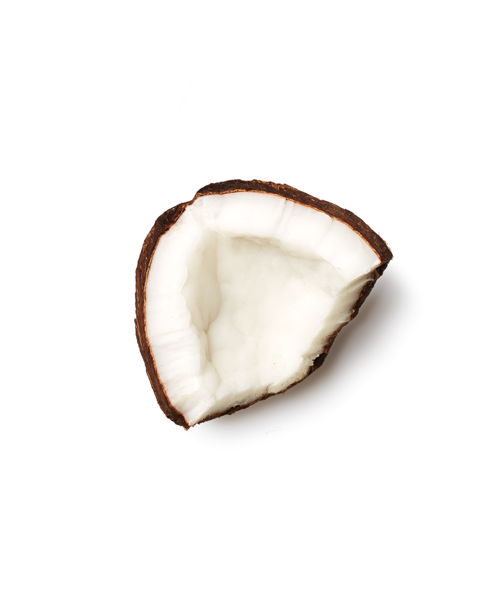 Coconut Protein Puff Bars