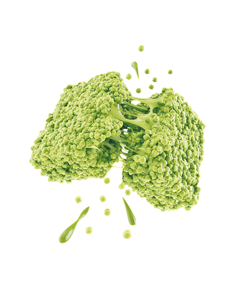 Matcha Protein Puff Bars