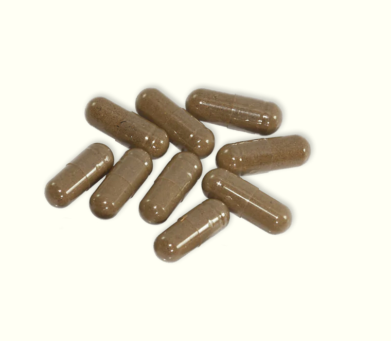 Screen Shot 2022-12-12 at 4.40.08 PM.png