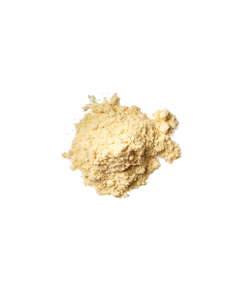 French Vanilla Vegan Protein Powder