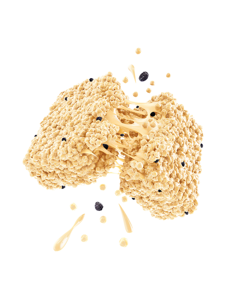 Blueberry Protein Puff Bars