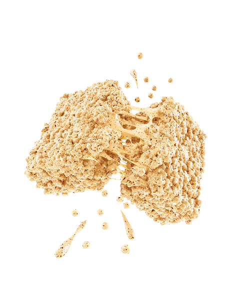 Snickerdoodle Protein Puff Bars