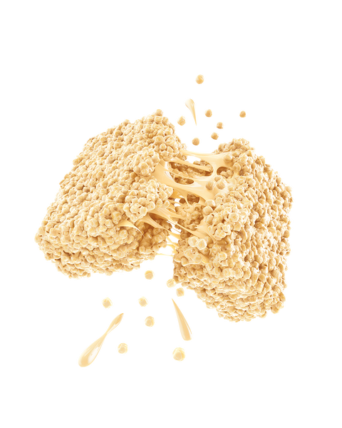 Vanilla Protein Puff Bars