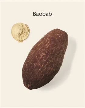 Baobab fruit beside a scoop of pale baobab powder, photographed by Promix as one of the ingredients in Debloat.